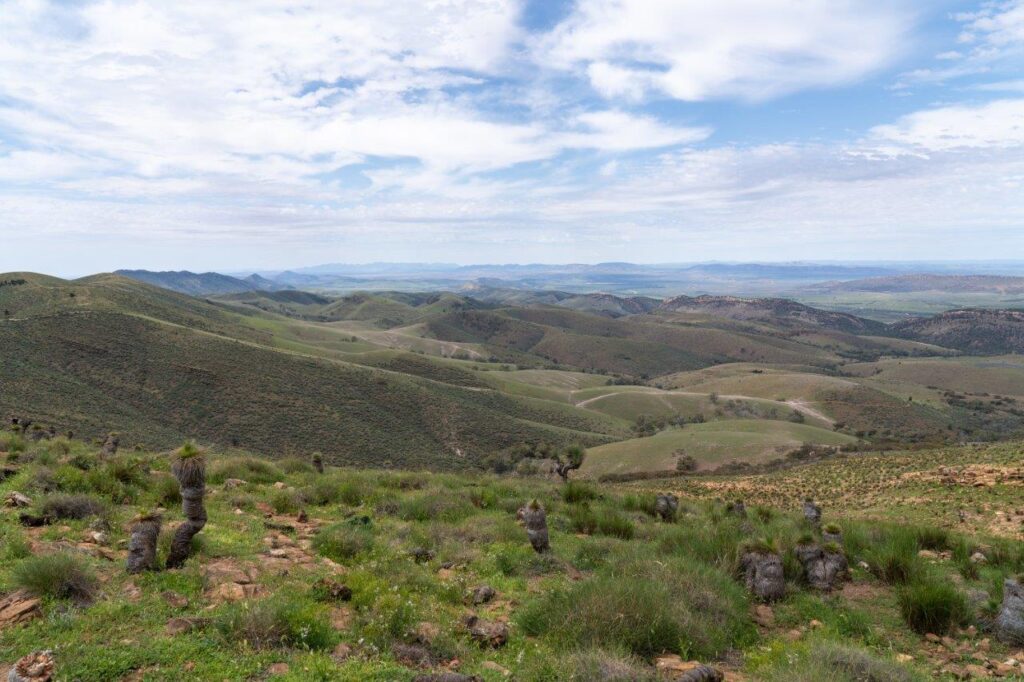 Argadells; the ultimate Flinders Ranges visit