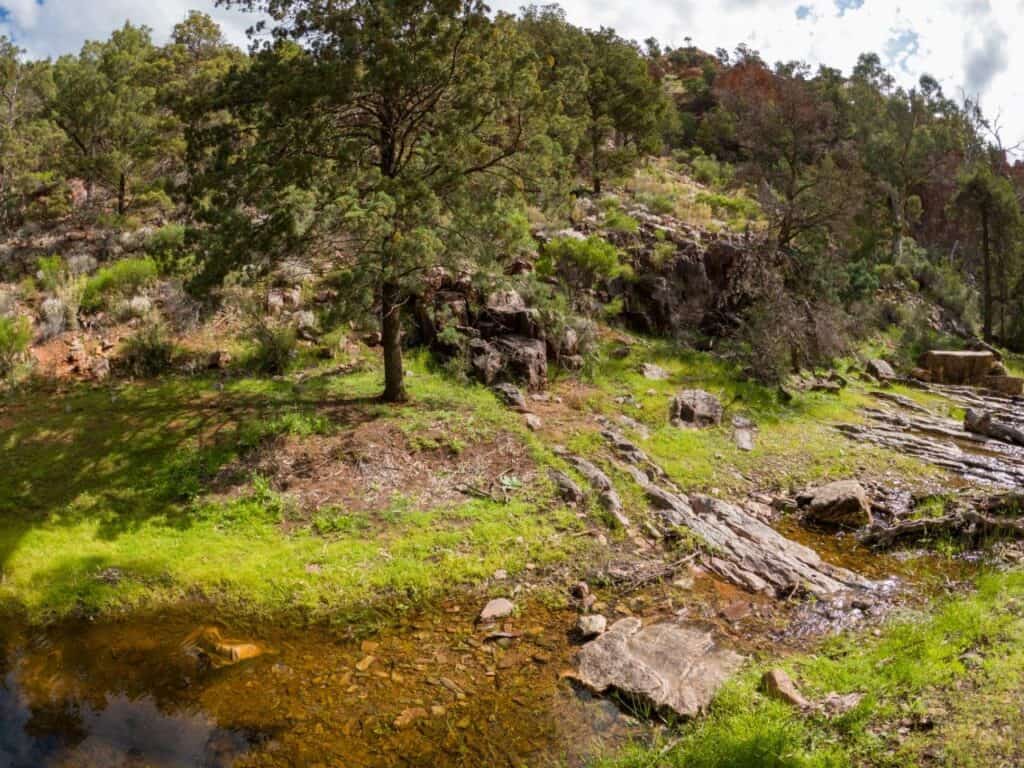 Argadells; the ultimate Flinders Ranges visit
