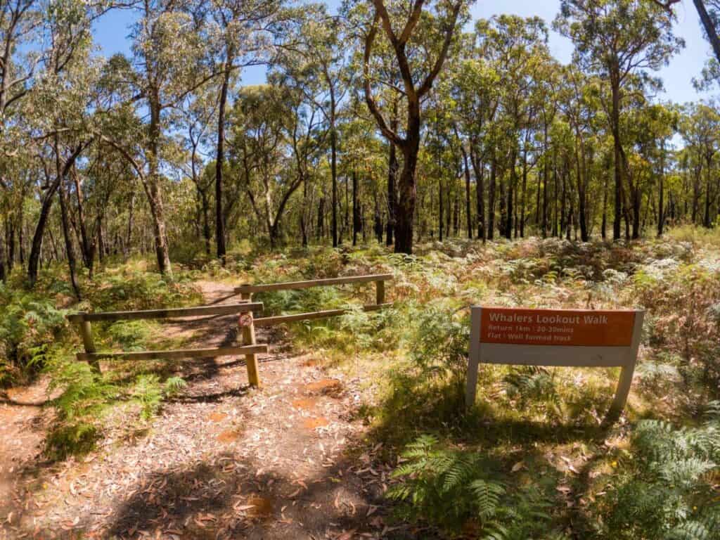 Sawpit Free Campground; Great camping near Portland