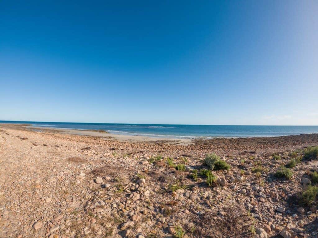 Point Gibbon and Cowell Camping