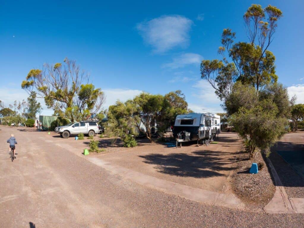 Albany WA springtime activities