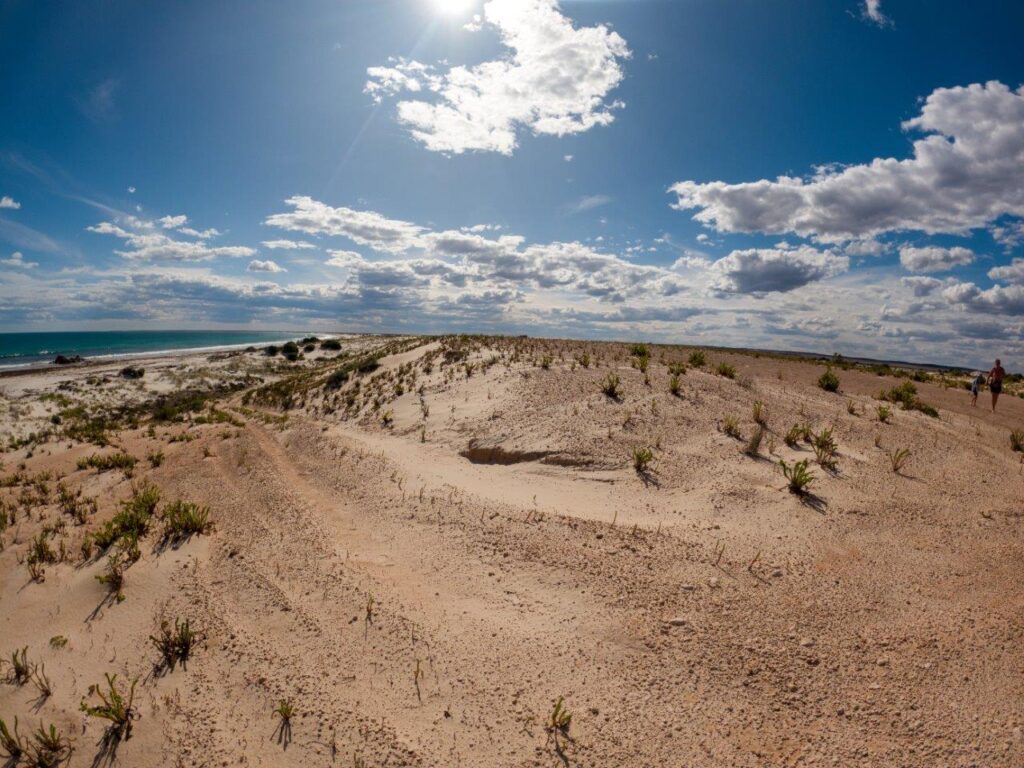 Point Gibbon and Cowell Camping