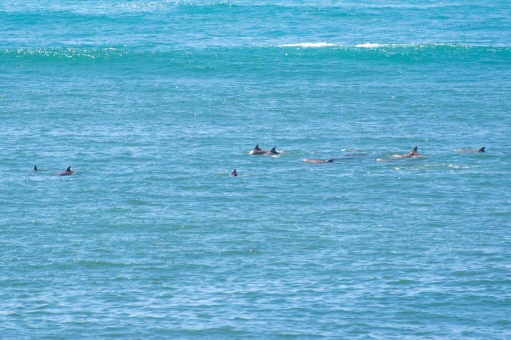 Walkers Rock in Elliston; great coastal camping