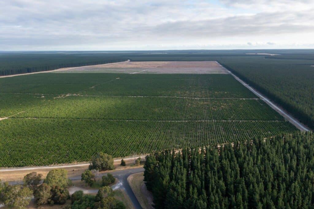 Kromelite Road Rest Area near Mount Gambier