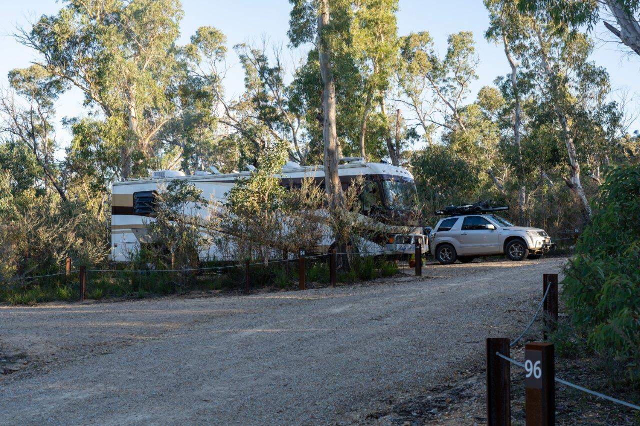 Big Bus at Dunns Swamp