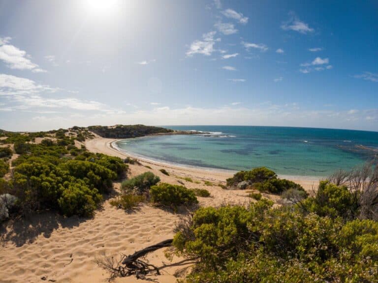 Yorke Peninsula Camping; insane beach camping in SA