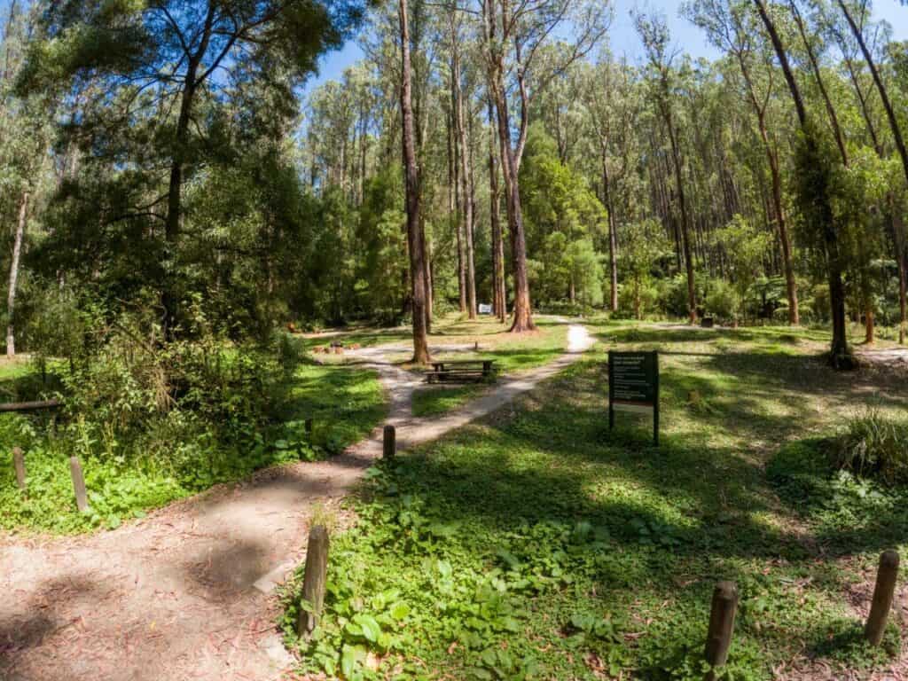 Lake Elizabeth Campground; magic camping with a big reputation