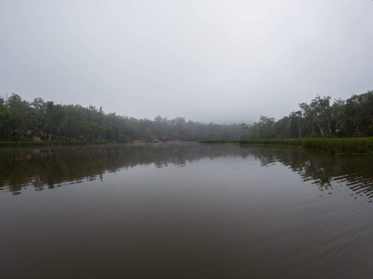 Fog at Dunns Swamp