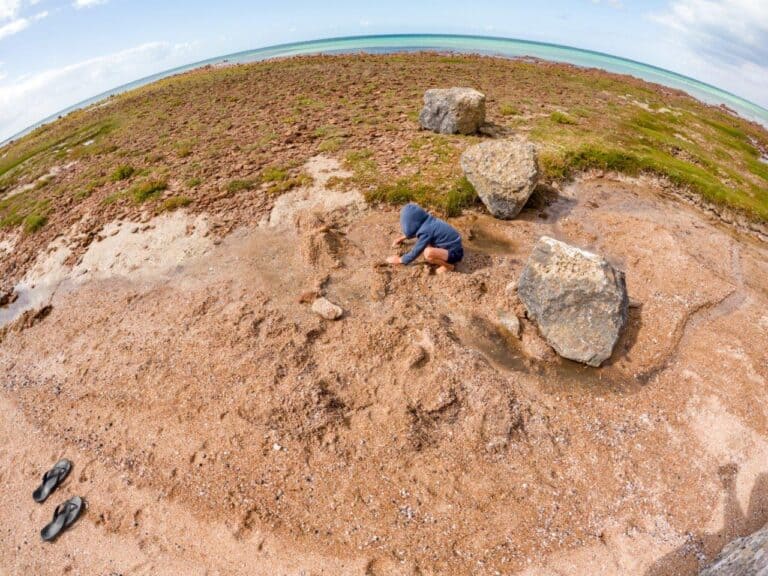 Burners Beach; great Yorke Peninsula Camping