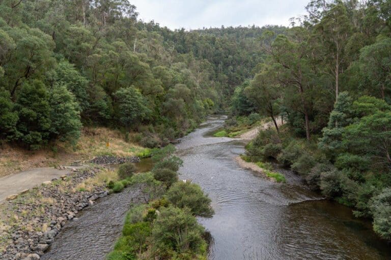 Wahallah Rivers Walhalla 4WD Tracks; insane views and lots of adventure