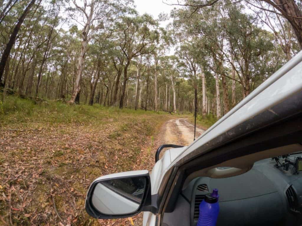 Anglesea 4WD Tracks; 4WDing on the Great Ocean Road