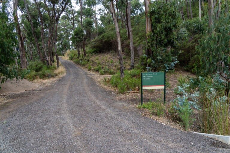 Jamieson Creek Campground; camping right on the Great Ocean Road