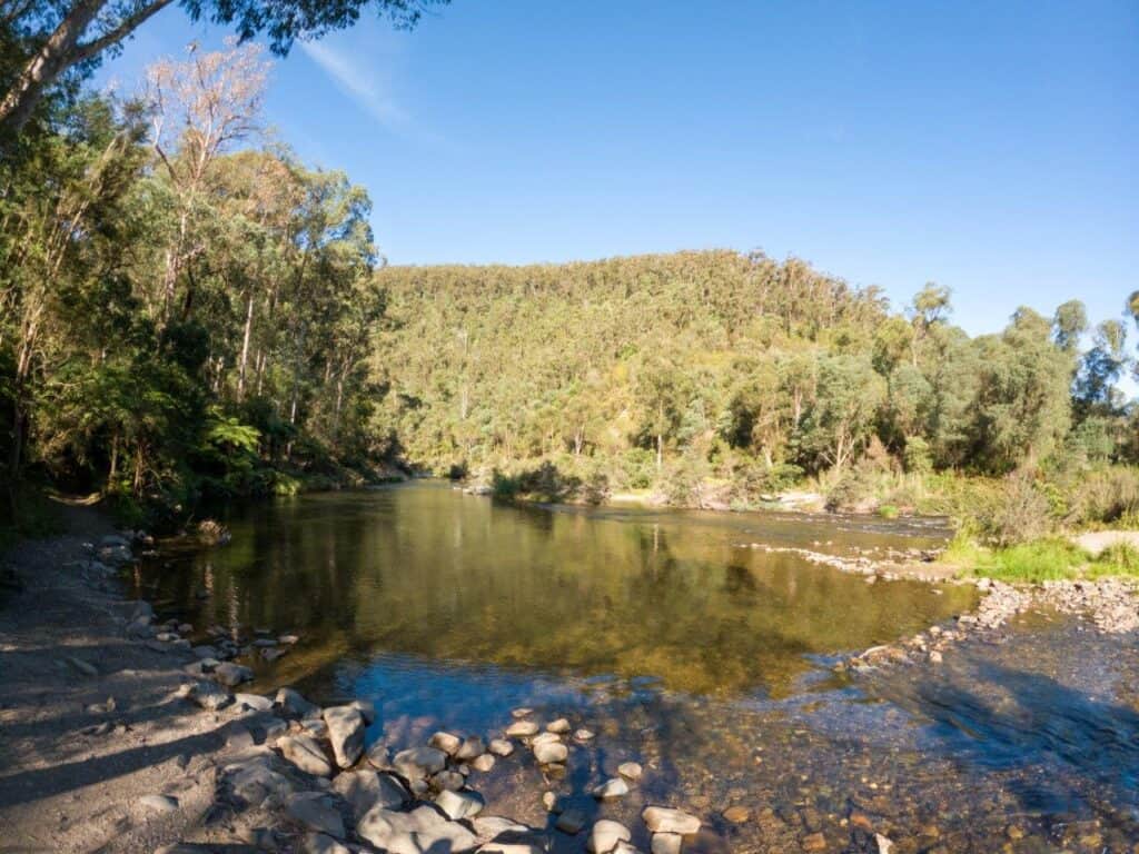 Coopers Creek Campground; stunning, free and amazing