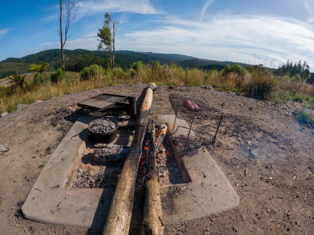 How To Collect Camping Firewood Without Being A Muppet