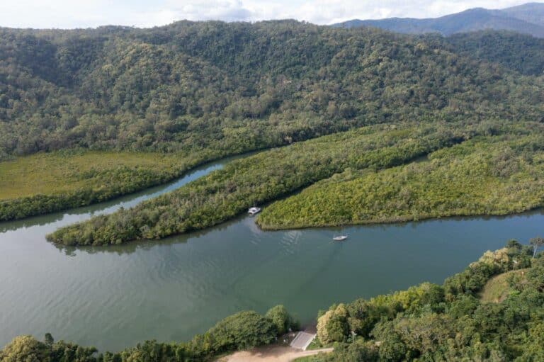 Bloomfield Cabins and Camping; stunning Daintree Camping