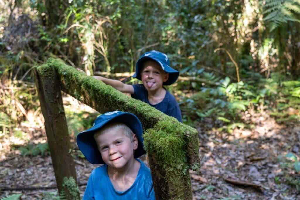 Sheepstation Creek Campground, Borders Range National Park 4WDing Australia